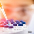 Borba protiv superbakterija: Istraživanja novog antibiotika i na ljudima