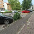 Jak vetar u Novom Sadu oborio drvo, povređene žena i devojčica, oštećeni automobili širom grada