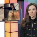 Albanska političarka iz švajcarske izrešetala ikonu Bogorodice i Isusa: Skandalozni potez koji je šokirao Evropu, konačno joj…