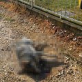 Ko truje vlasničke pse u Prokuplju? Za nekoliko dana pobio osam životinja - reagovala policija