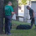 Akcija hvatanja napuštenih pasa u Bujanovcu