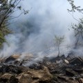 Sedmoro poginulo u padu safari-helikoptera u Keniji, među njima pet Amerikanaca