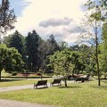 Pretežno sunčano, najviša temperatura do 25 stepeni