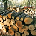 Najjeftinije grejanje stana na drva i prirodni gas, najskuplje električnom energijom