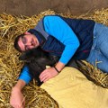 Ždrebe pronađeno na Suvoj planini oporavlja se u „Zoo planetu“, ali je još životno ugroženo