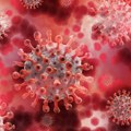 Naučnici istražuju novu izuzetno mutiranu varijantu virusa koji izaziva kovid-19