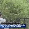Snimak koji je zgrozio ceo svet Turisti zbog selfija otrgli mladunče medveda od majke (video)
