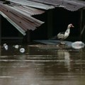Broj nastradalih u obilnim kišama u Salvadoru porastao na 19