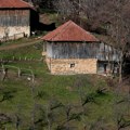 Nikica je napustio posao u gradu i vratio se u selo na jugu Srbije: Bavi se poljoprivredom,sada ima jednu muku