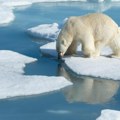 Arktik ostaje bez leda! Naučnici poslali dramatično upozorenje, ove godine nestala površina veća od četiri Nemačke…