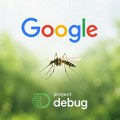 Tehnologija i biologija u zajedničkoj misiji: Google traži dozvolu da pusti 32 miliona komaraca