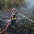 "Srbija šume" uputile apel: Rizik od požara ogroman, ovo nikako ne radite ako ste u prirodi