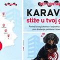 Pet centar Karavan stiže u 13 gradova Srbije: Kada prodavnica postane deo lokalne pet zajednice