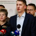 SVM predao listu za parlamentarne izbore, nosilac Balint Pastor