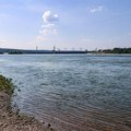 Legendarno: Uhvaćena riba od 700 kilograma na Dunavu! Šta se krije ispod površine reke?