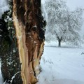 Mitrović: Situacija na području Ivanjice posle snežne oluje je pod kontrolom