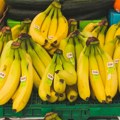 Nađeno više od sto kilograma kokaina među bananama u marketima u Nemačkoj