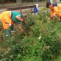 Redovno uređenje i održavanje higijene na bulevaru Medijana