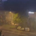 Korenje drveća prevrnulo automobile: Nezapamćeni prizor na Bežanijskoj kosi: Olujni vetar iščupao stabla iz betona (foto)