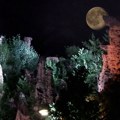 Vekovima se u sumrak bežalo od Đavolje varoši, noćna poseta sada nezaobilazna atrakcija