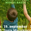 Javni čas fizičkog u Zemunu: Deca beru jabuke i uče o značaju hormona rasta za zdrav razvoj