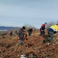 Lebanu i Vlasotincu 7,7 miliona za pošumljavanje