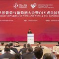 У Јинчуану одржан 47. Светски конгрес о грожђу и вину