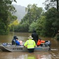 Australija: Širenje invazivne vrste vatrenih mrava na području Brizbejna