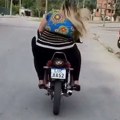 Tverkovanje na novi način: Vozi devojku na motoru i trese joj pozadinu