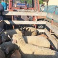 Stočna pijaca u Ristovcu zatvorena, farmeri kažu država želi da nas uništi
