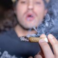 Legalizacija kanabisa nije imala gotovo nikakav efekat