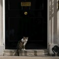 Pas novog britanskog premijera "persona non grata" u Dauning stritu zbog mačka Larija