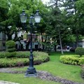 Na „prvom zelenom zidu“ u Subotici biljke se osušile, obnova nije planirana za ovu godinu