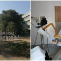 Besplatan skrining raka grlića materice z ambuilantama Doma zdravlja Novi Sad: Pregledi i za žene bez izabranog ginekologa i…