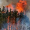 Dramatični prizori u trgovištu: Bukti požar, vatrena stihija se proširila i na Lesničke planine! Plamen guta drveće…