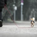 Natprosečna temperatura, smena sunca i oblaka i narednih dana