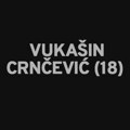 TUŽNA VEST: Preminuo Vukašin Crnčević (18) mladić povređen u padu nadstrešnice u Novom Sadu! Preminuo Vukašin…