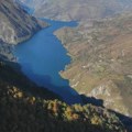 Ovo drvo raste samo uz reku Drinu i ponos je Srbije: "Ima i nacionalni značaj"