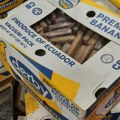 Zaplenjeno osam tona kokaina: U Roterdamu droga sakrivena u kontejneru sa bananama