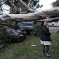 Tropska oluja Hilari lomi drveće u južnoj Kaliforniji, putevi poplavljeni