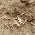 Zemlja sa starog groblja sa posmrtnim ostacima odneta na smetlište u Kosovskoj Mitrovici