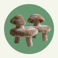 Fungi fotelje, inovativan dizajn koji zapravo NEMA VEZE sa enterijerom
