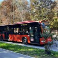 Zbog Zadušnica pojačane autobuske linije ka Novom groblju