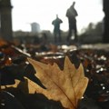 Jutro sa temperaturom ispod nule: Posle hladnog početka, dan će biti prijatan