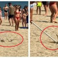 Jeziva scena na Grčkoj plaži Ljudi štapom love ogromnu zmiju, kupači gledaju u neverici (VIDEO)