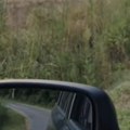 Izašao iz šumarka u Srbiji, svi zanemeli zbog nesvakidašnjeg prizora! "Ko je još imao ovu čast?"