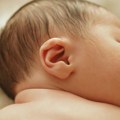 Statistika: Od januara do avgusta 24.736 više umrlih nego rođenih