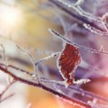 UPALJEN METEOALARM: Hladni talas zahvatio Srbiju, temperature i do minus 15 stepeni