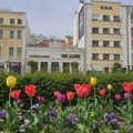 RHMZ izdao upozorenje: Srbiji prete olujni vetar, grad i nevreme