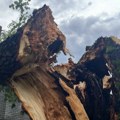 Veliko nevreme u Guči: Vetar oborio lipu, oštećen objekat